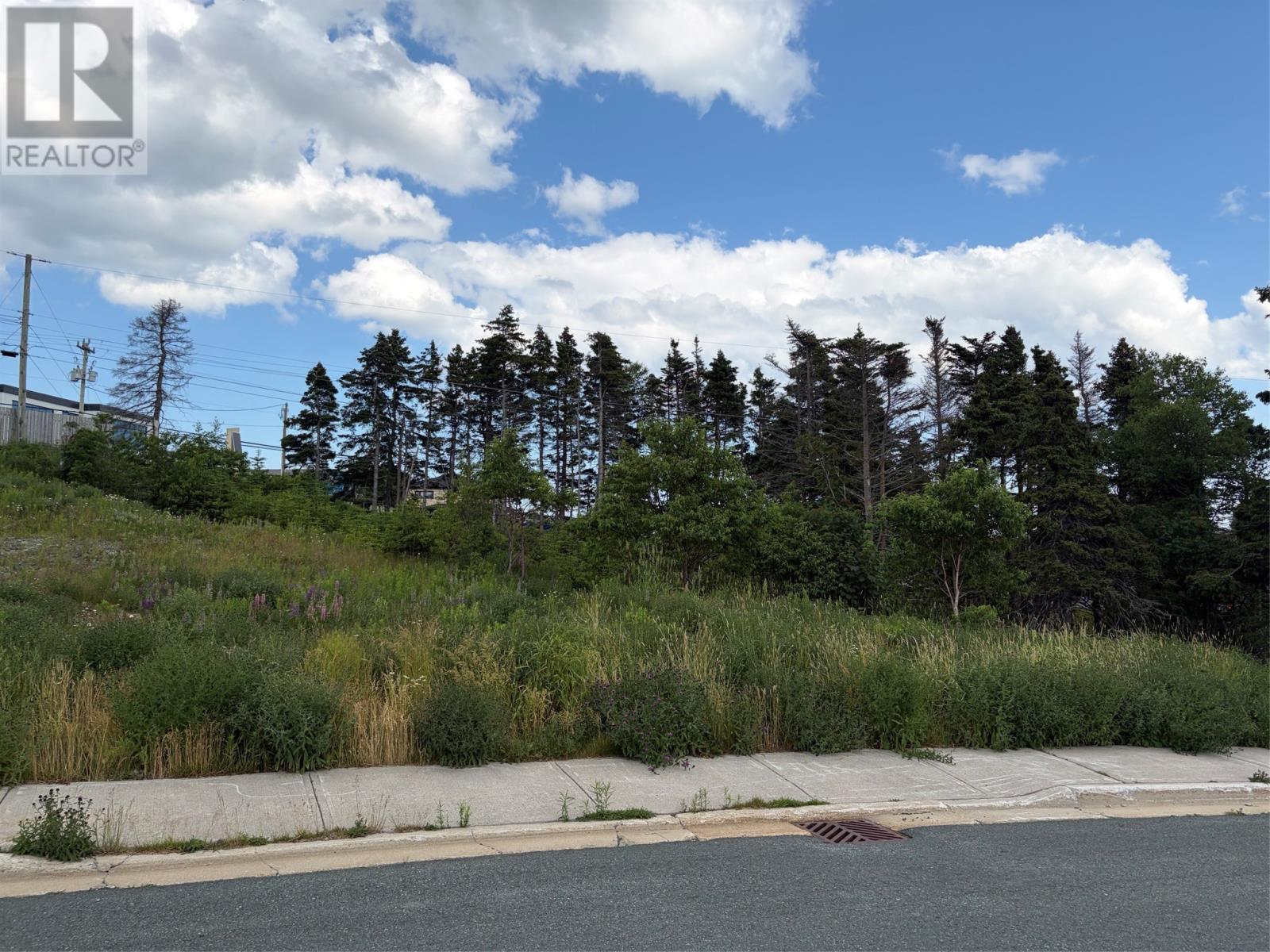 28 Blade Crescent, Mt Pearl