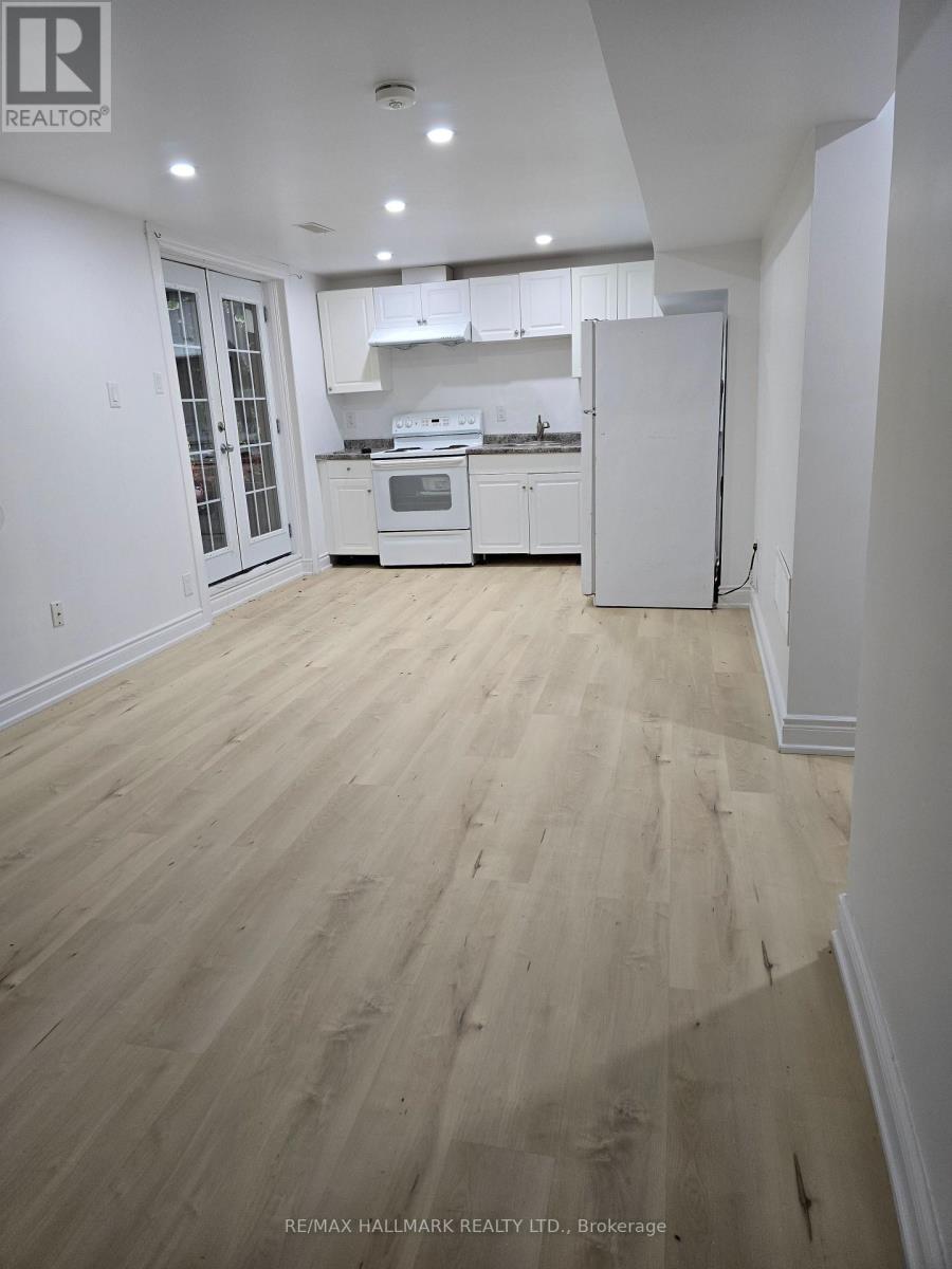 (Basement) - 262 Lupin Drive, Whitby, Ontario  L1N 1Y1 - Photo 3 - E13584886