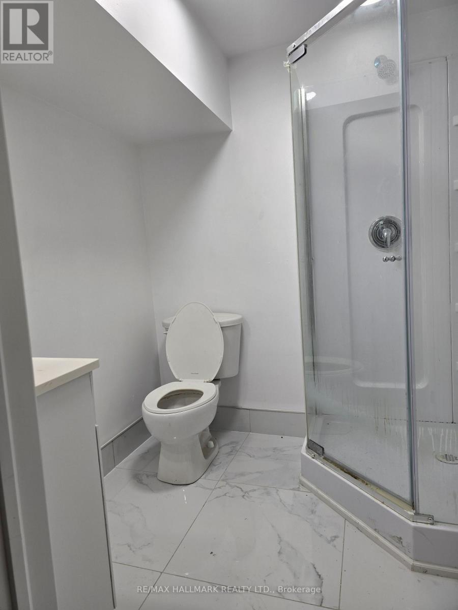 (Basement) - 262 Lupin Drive, Whitby, Ontario  L1N 1Y1 - Photo 5 - E13584886