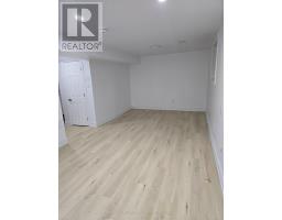 (BASEMENT) - 262 LUPIN DRIVE, Whitby, Ontario