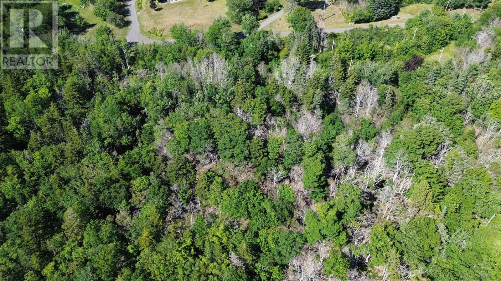 Lot Old Mountain Road, Rossway, Nova Scotia  B0V 1A0 - Photo 13 - 202618062