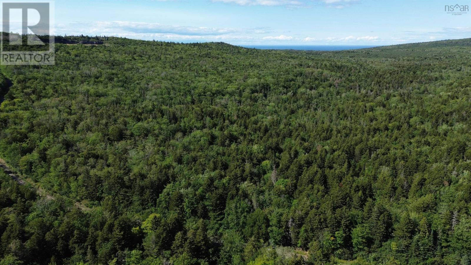 Lot Old Mountain Road, Rossway, Nova Scotia  B0V 1A0 - Photo 5 - 202618062