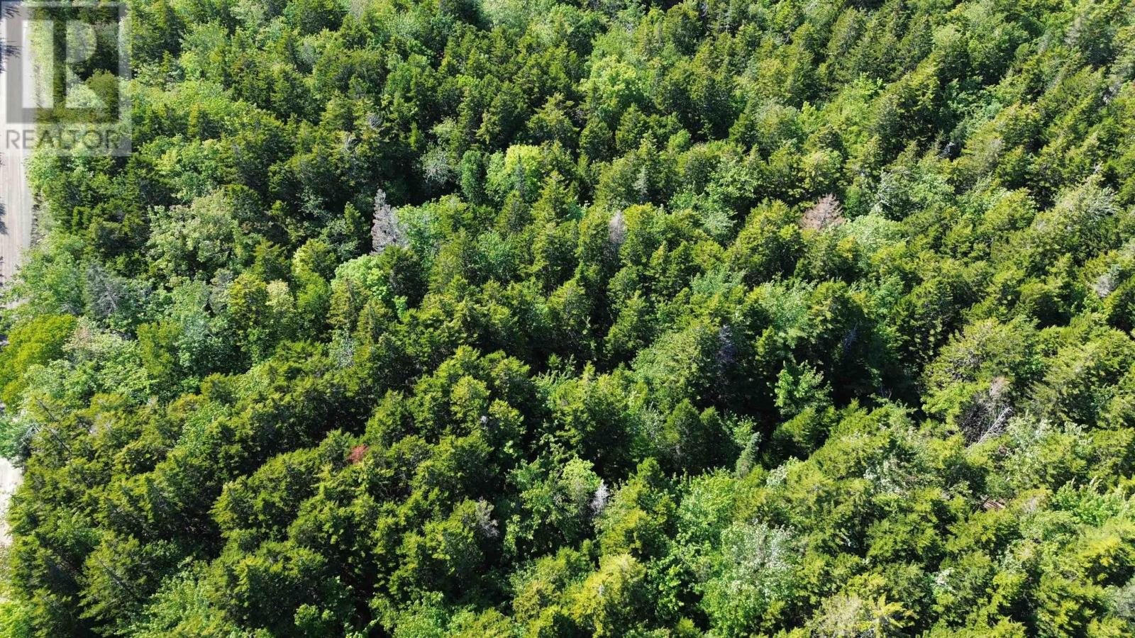 Lot Old Mountain Road, Rossway, Nova Scotia  B0V 1A0 - Photo 8 - 202618062