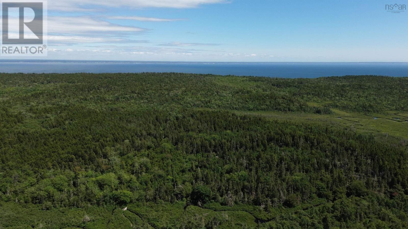 Lot Highway 217, Central Grove, Nova Scotia  B0V 1B0 - Photo 9 - 202618065