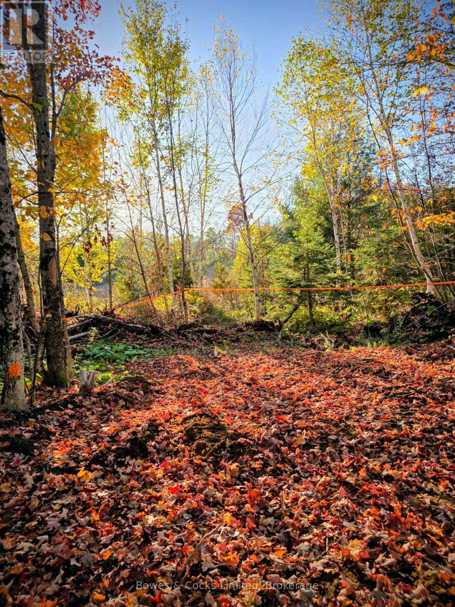 42 Clear Lake Court, Marmora And Lake, Ontario  K0L 1W0 - Photo 17 - X13584232