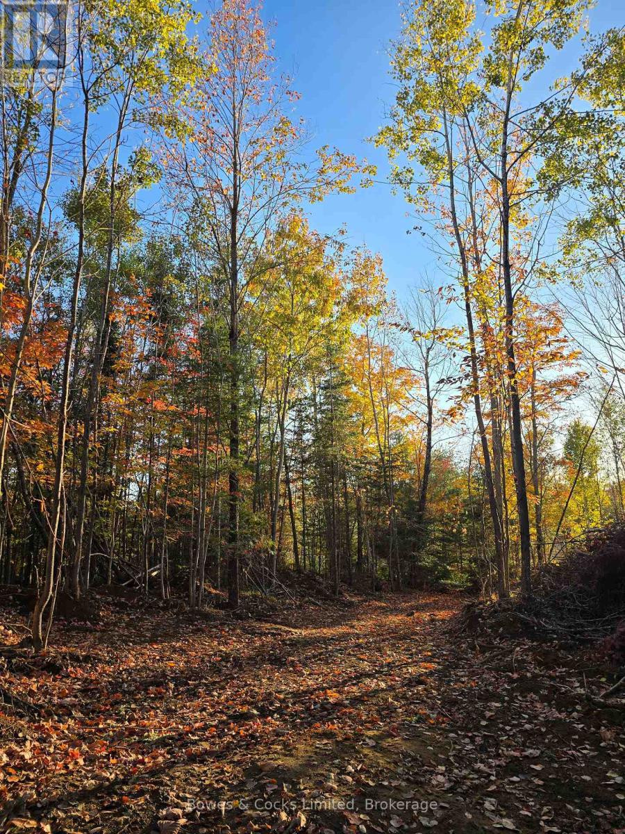 42 Clear Lake Court, Marmora And Lake, Ontario  K0L 1W0 - Photo 19 - X13584232