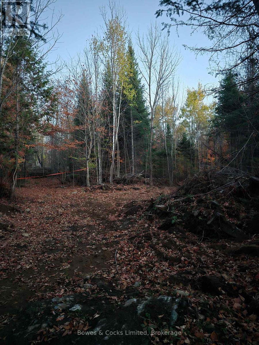 42 Clear Lake Court, Marmora And Lake, Ontario  K0L 1W0 - Photo 26 - X13584232