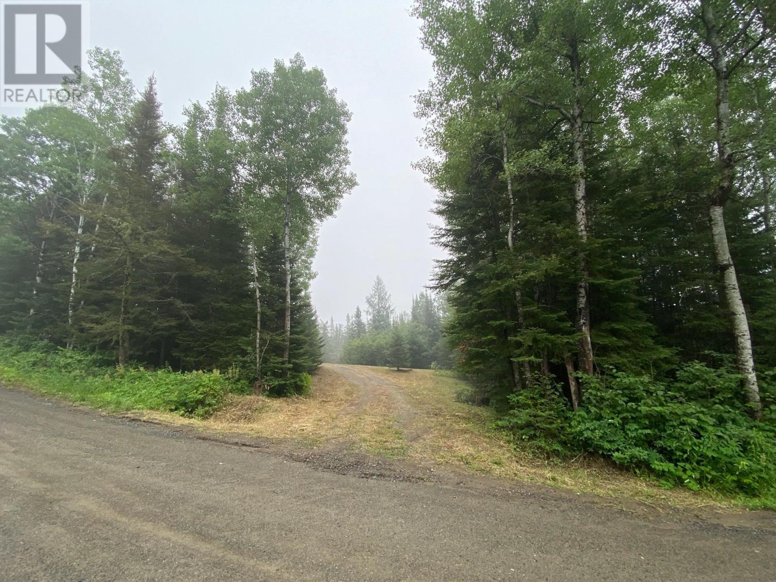0 Townline Rd, Thunder Bay, Ontario  B7B 2J8 - Photo 2 - TB2602018