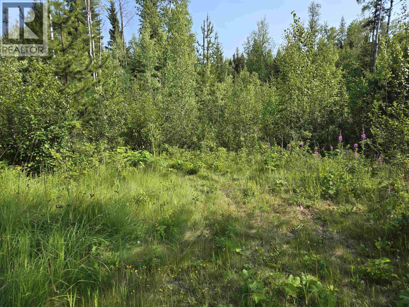 Lot 14 Catherine Drive, Prince George, British Columbia V2M 7B5 - Photo 5 - R3147983
