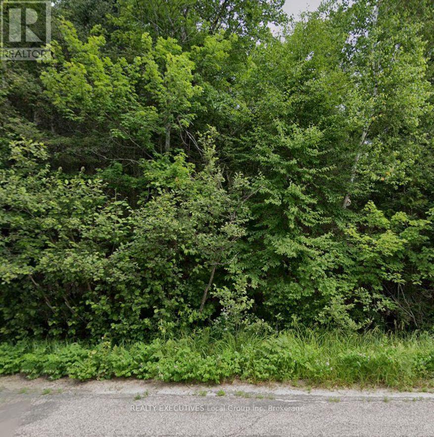 Lot 2 Widdifield Station Road, North Bay, Ontario  P1B 8G2 - Photo 3 - X13584658