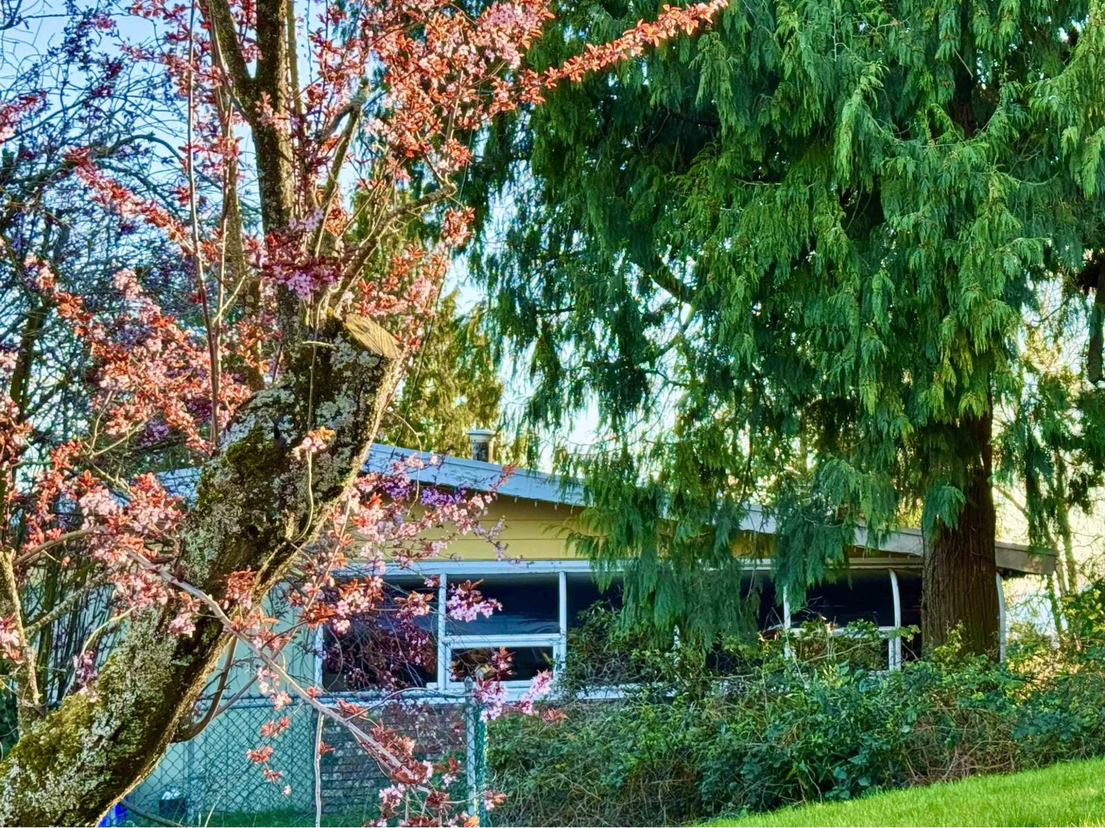 990 Balsam Street, White Rock, British Columbia  V4B 4J1 - Photo 4 - R3127513