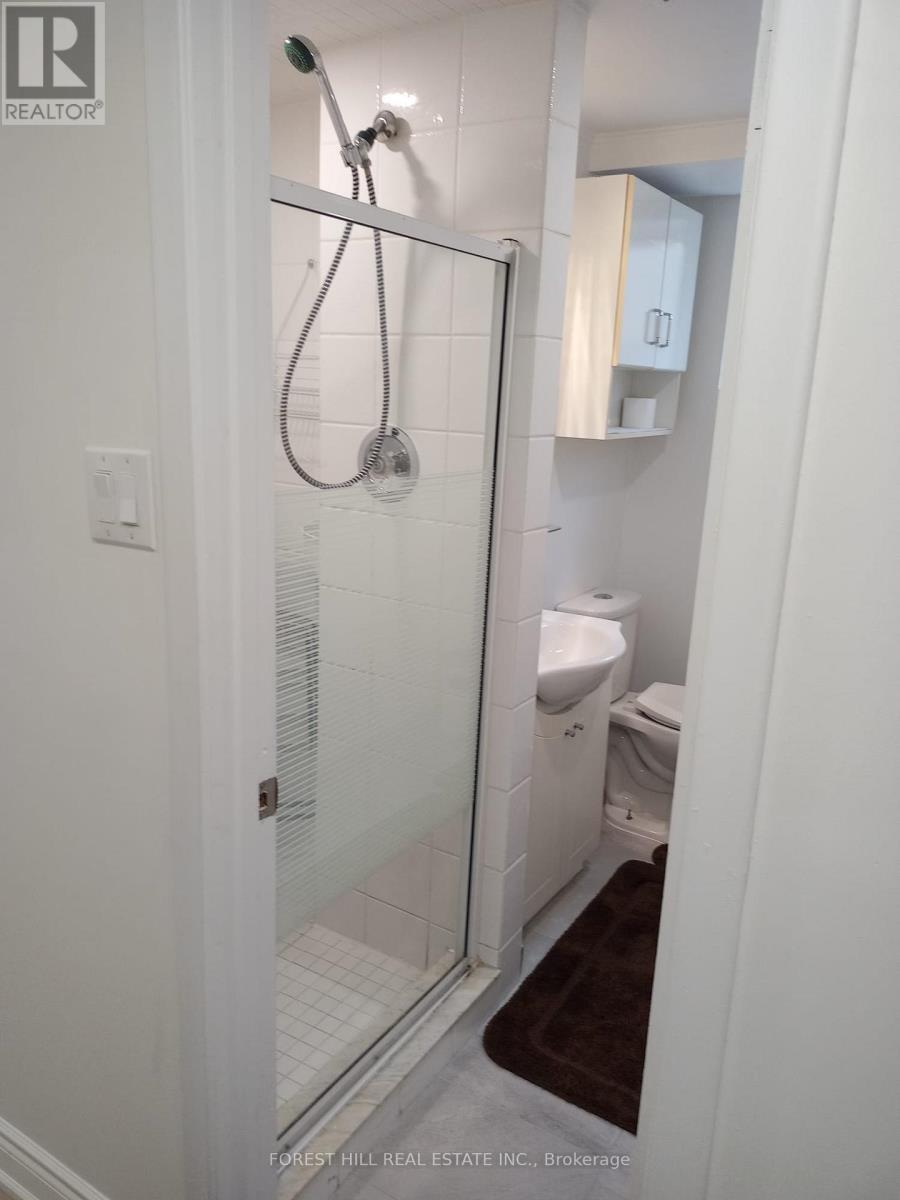 Bsmt - 100 Grandview Avenue, Markham, Ontario L3T 1H6 - Photo 14 - N13585338