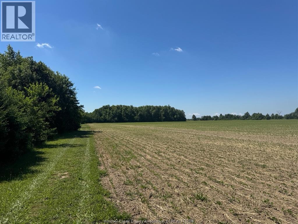 9773 9th Concession Rd., Essex, Ontario N8M 2X5 - Photo 35 - 26017489