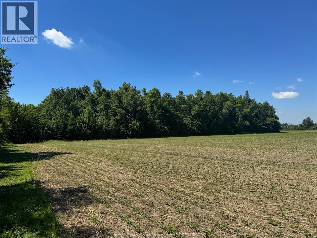 9773 9th Concession Rd., Essex, Ontario N8M 2X5 - Photo 36 - 26017489