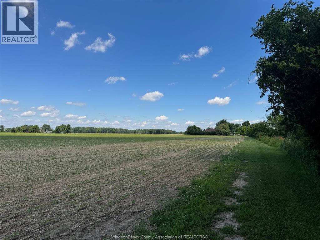 9773 9th Concession Rd., Essex, Ontario N8M 2X5 - Photo 38 - 26017489