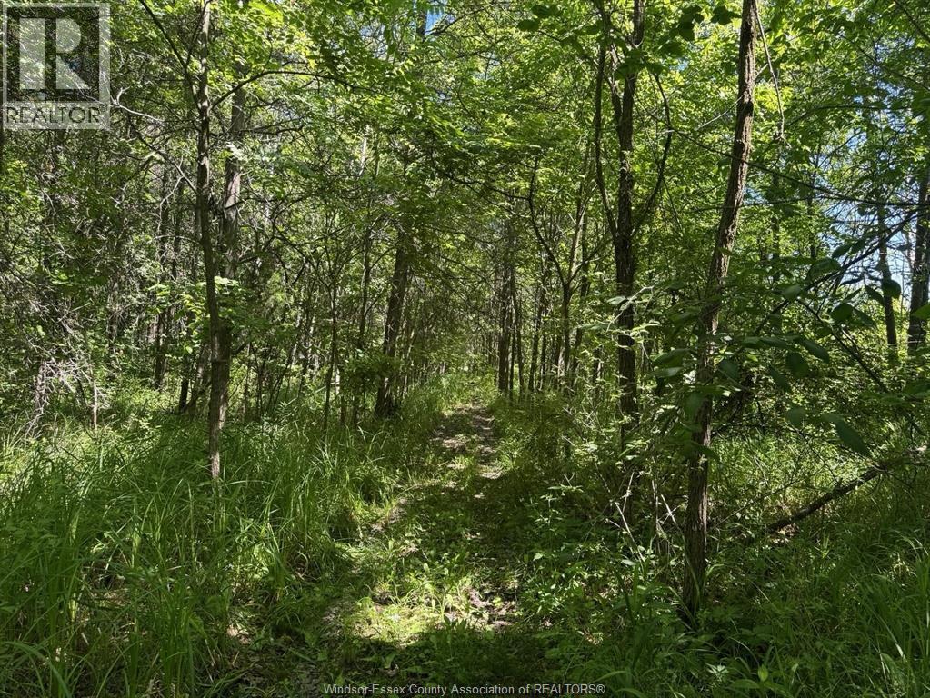 9773 9th Concession Rd., Essex, Ontario N8M 2X5 - Photo 39 - 26017489