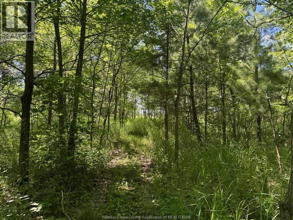 9773 9th Concession Rd., Essex, Ontario N8M 2X5 - Photo 41 - 26017489