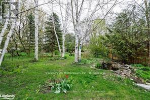 B - 435 Napier Street, Collingwood, Ontario  L9Y 3T8 - Photo 6 - S13585880