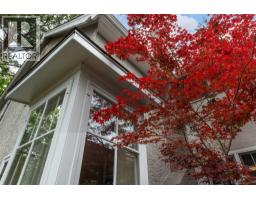 1537 Lakeview Street, Kelowna, British Columbia  V1Y 6N1 - Photo 8 - 10394899