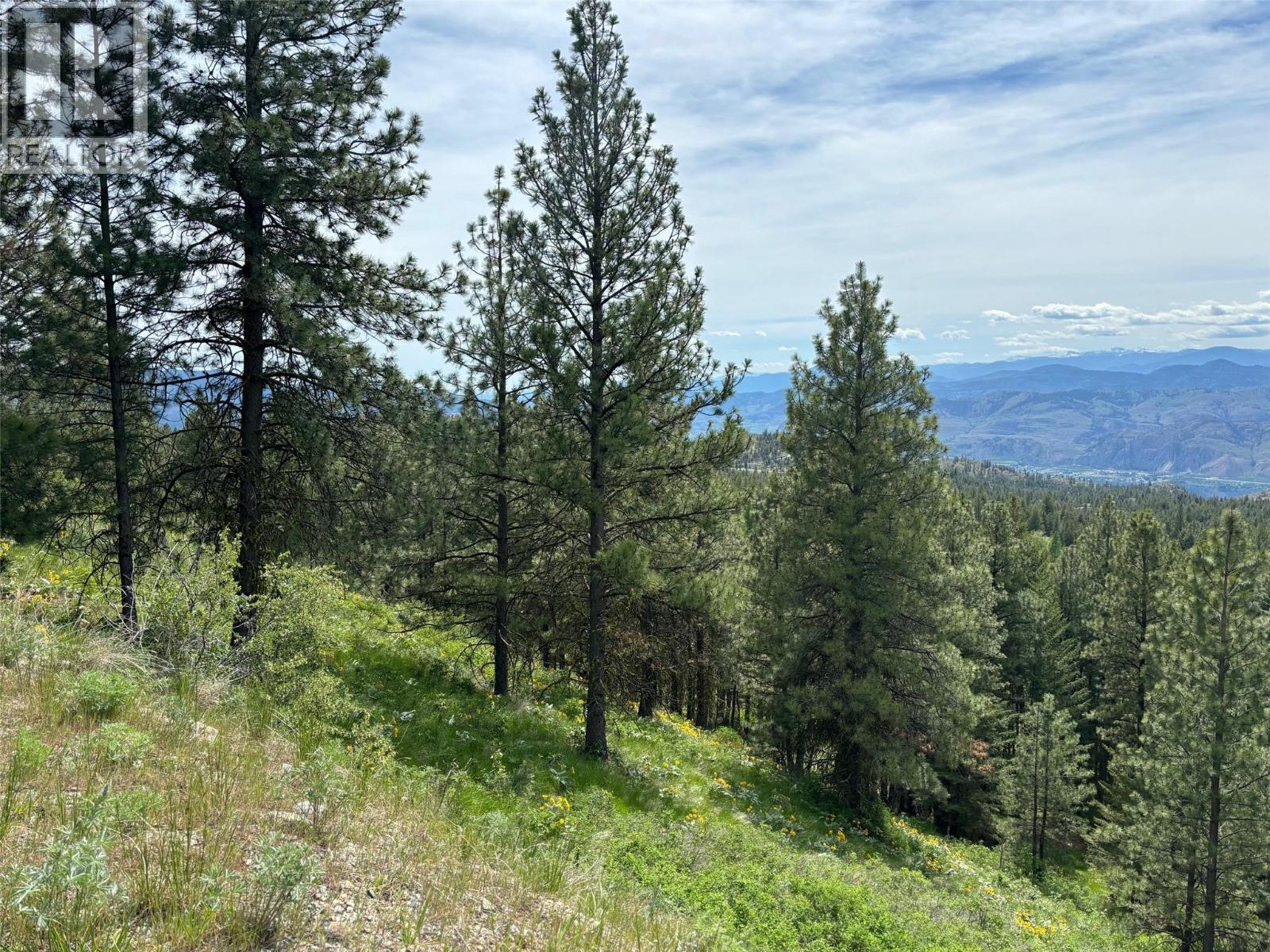 500 Sasquatch Trail, Osoyoos, British Columbia V0H 1V6 - Photo 10 - 10395324