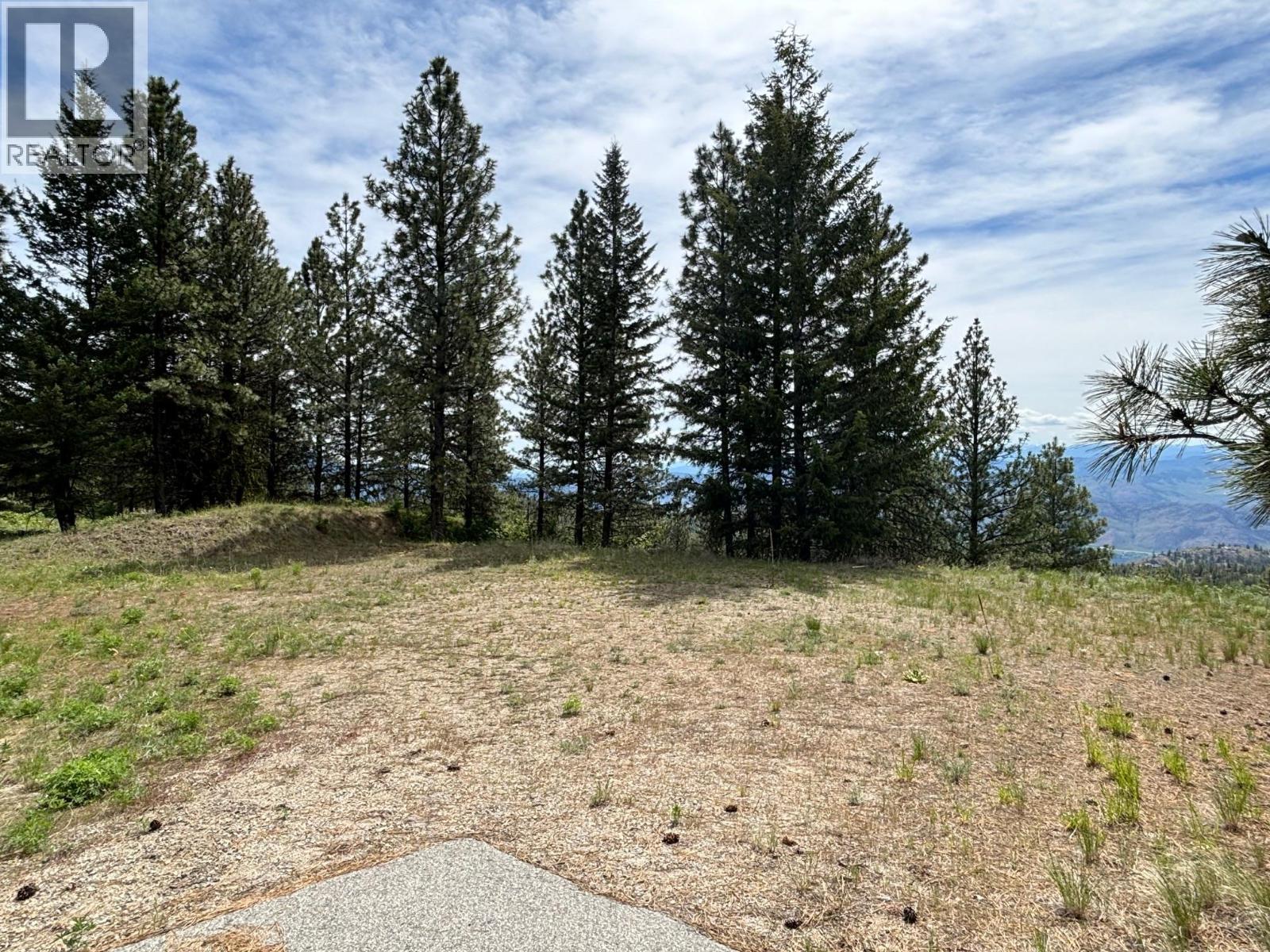500 Sasquatch Trail, Osoyoos, British Columbia V0H 1V6 - Photo 9 - 10395324