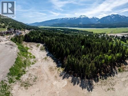 2941 Mcinnes Road, Revelstoke, British Columbia  V0E 2S3 - Photo 35 - 10349346