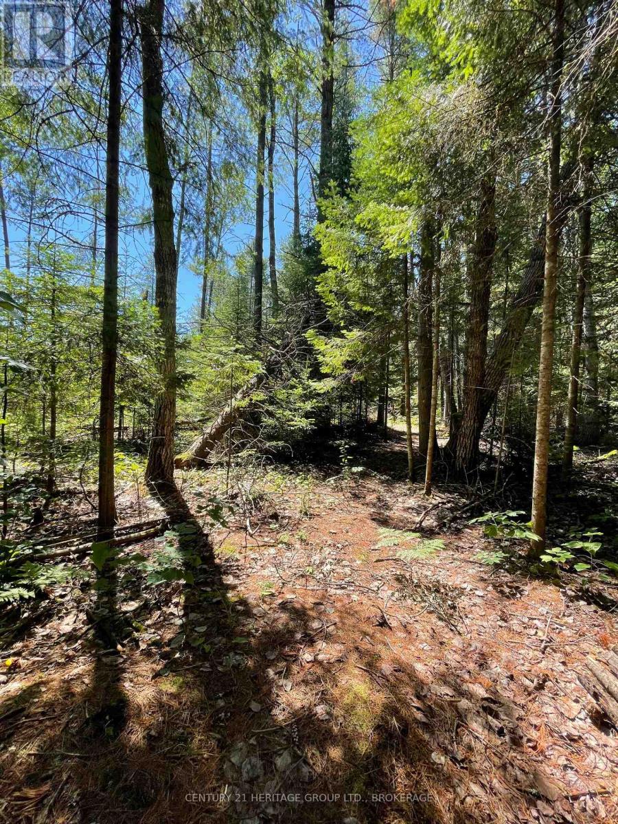 19473 41 Highway, Addington Highlands, Ontario  K0H 1K0 - Photo 12 - X13585696