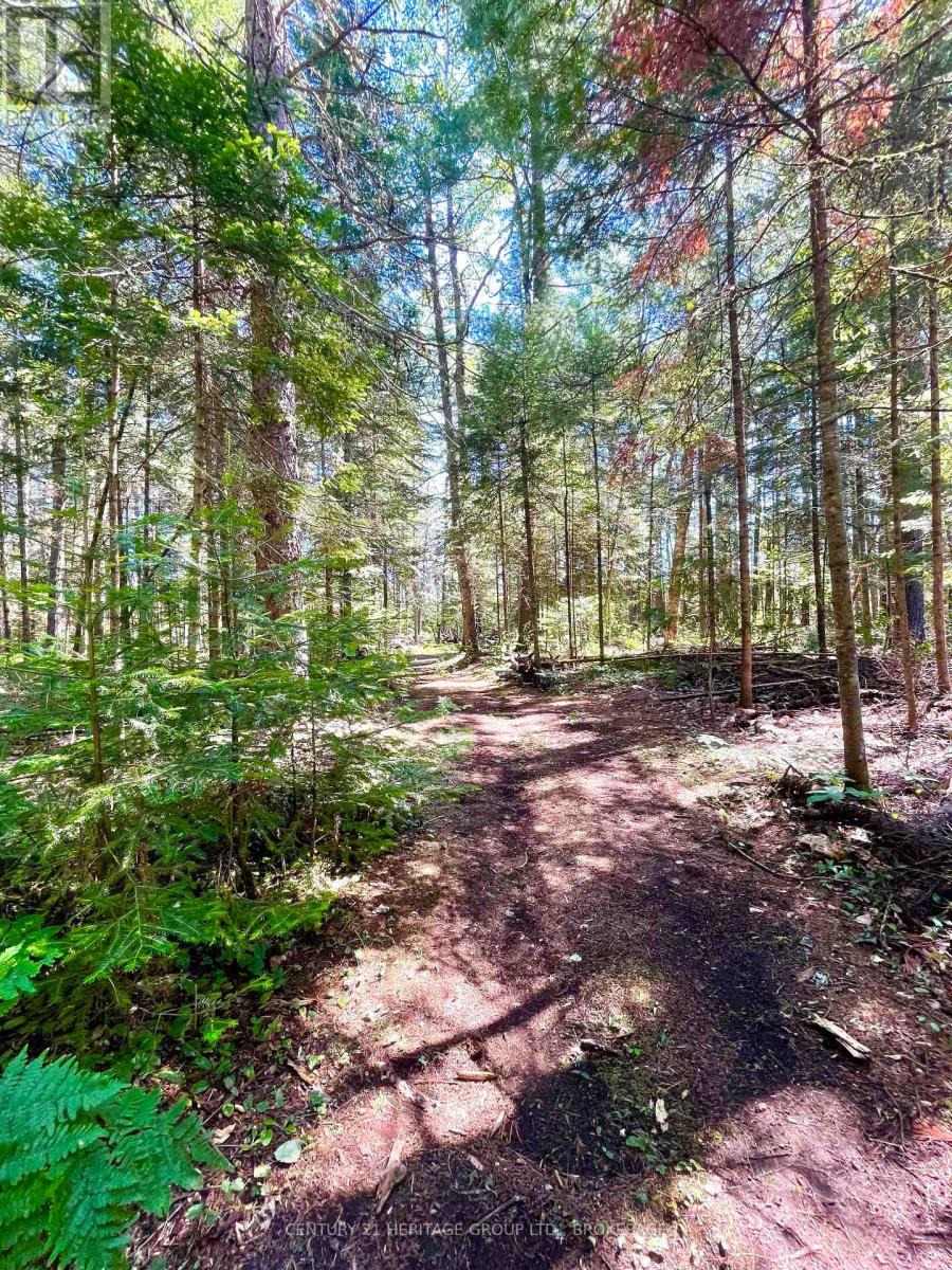 19473 41 Highway, Addington Highlands, Ontario  K0H 1K0 - Photo 17 - X13585696