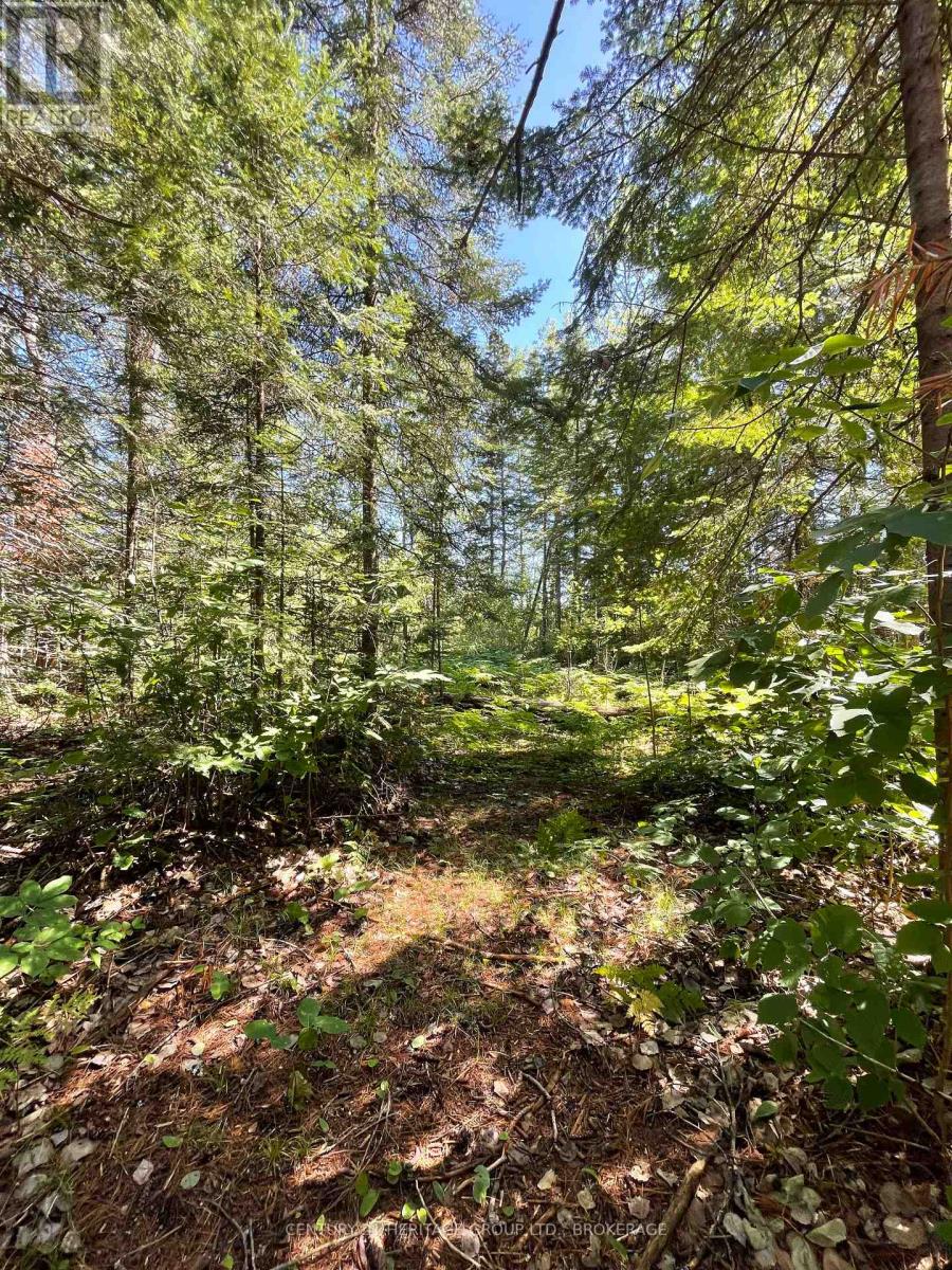 19473 41 Highway, Addington Highlands, Ontario  K0H 1K0 - Photo 13 - X13585696