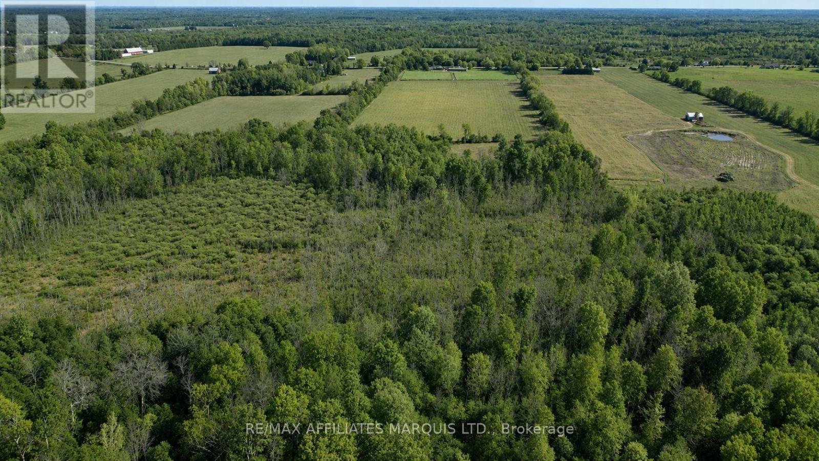 7788 County Rd 21 Road, Augusta, Ontario  K0E 1X0 - Photo 38 - X13586336