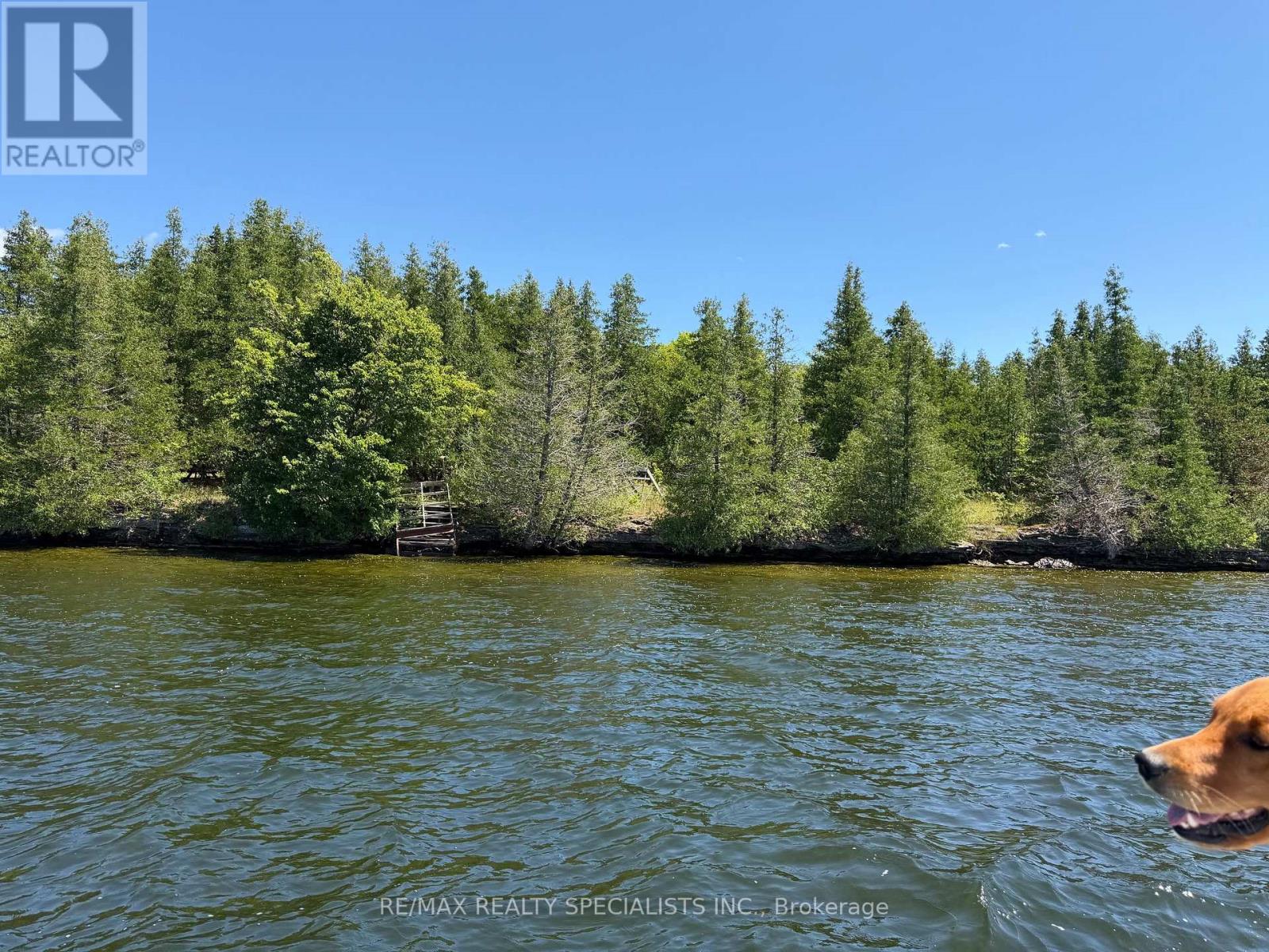 575 Grand Island, Kawartha Lakes, Ontario  K0M 1K0 - Photo 6 - X13586412