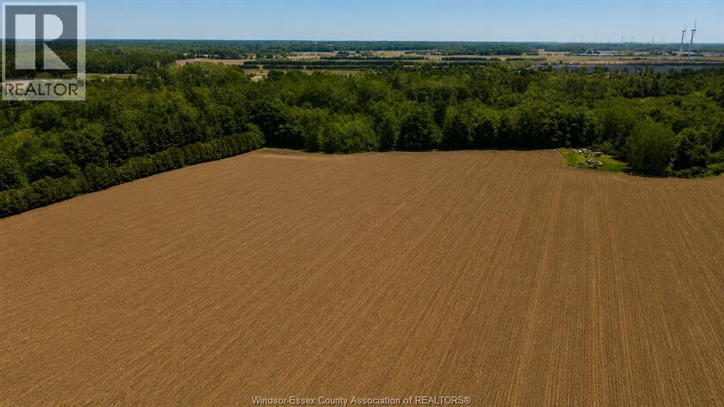 226 Norfolk County Road 28, Langton, Ontario N0E 1G0 - Photo 12 - 26017505