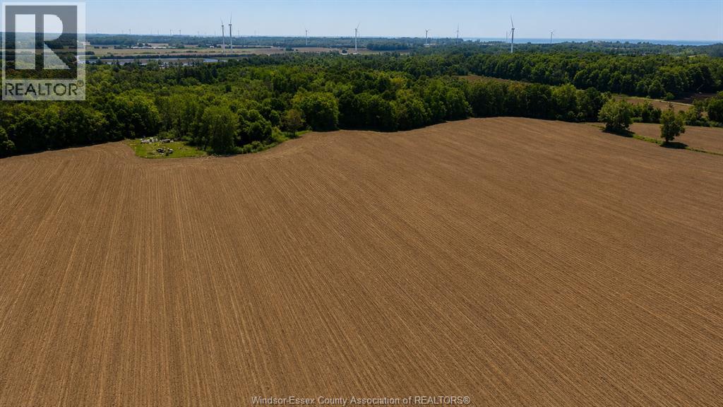 226 Norfolk County Road 28, Langton, Ontario N0E 1G0 - Photo 13 - 26017505