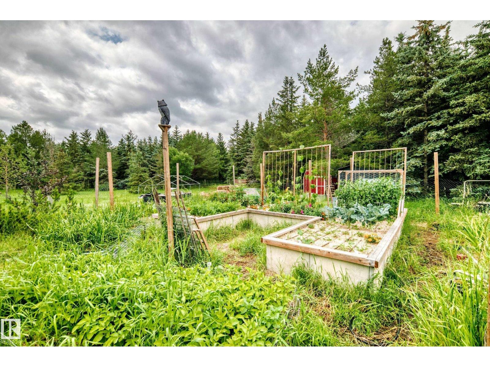 23328 Hwy 37, Rural Sturgeon County, Alberta  T8L 5A5 - Photo 12 - E4499898