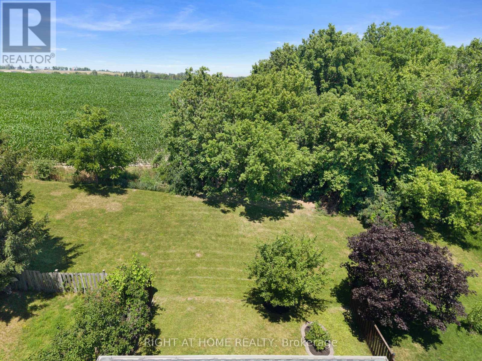 229 Billings Crescent, Newmarket, Ontario  L3Y 7Y8 - Photo 42 - N13586886