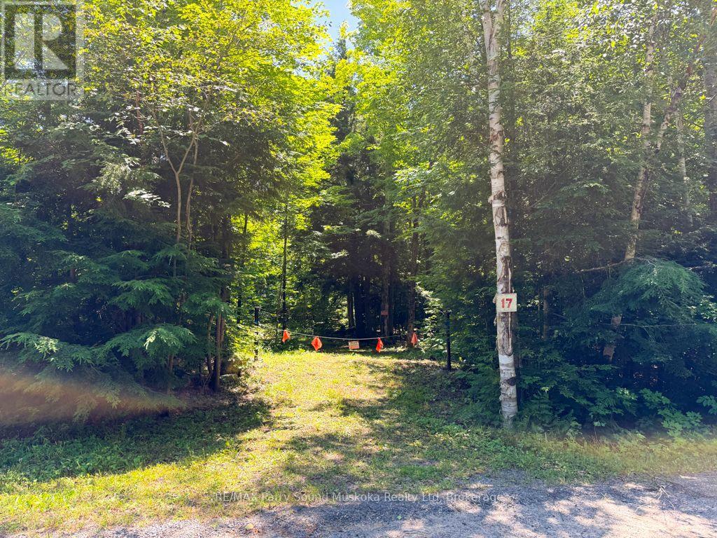 17 WHITE BEAVER TRAIL, McDougall, Ontario