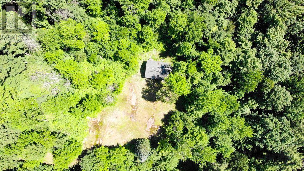 17 White Beaver Trail, Mcdougall, Ontario P2A 2W7 - Photo 13 - X13587048