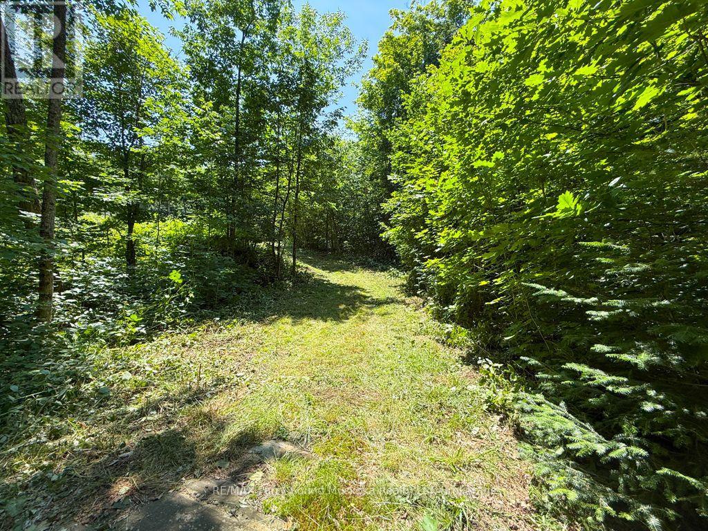 17 White Beaver Trail, Mcdougall, Ontario P2A 2W7 - Photo 3 - X13587048
