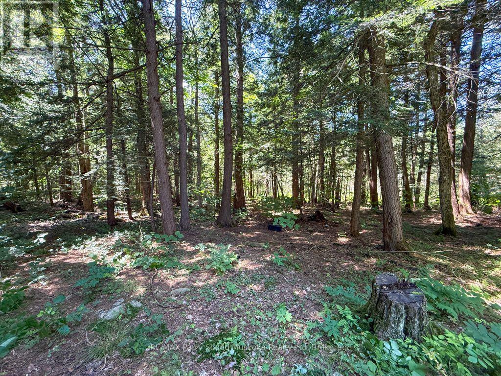 17 White Beaver Trail, Mcdougall, Ontario P2A 2W7 - Photo 6 - X13587048