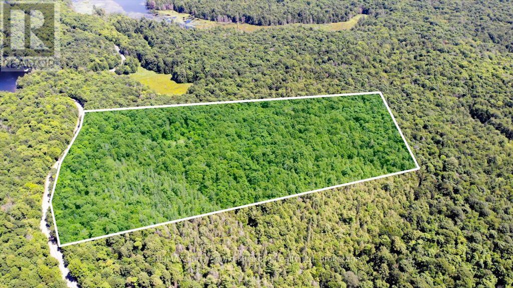 17 White Beaver Trail, Mcdougall, Ontario P2A 2W7 - Photo 7 - X13587048
