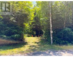 17 WHITE BEAVER TRAIL, mcdougall, Ontario