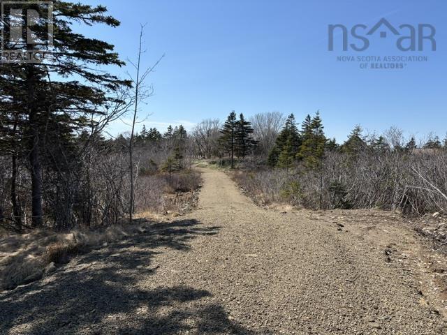 2022a Peajack Road, Westport, Nova Scotia  B0V 1H0 - Photo 10 - 202618133