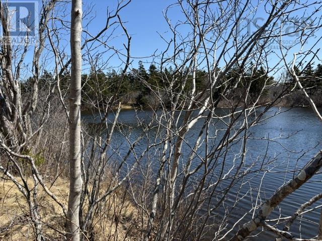 2022a Peajack Road, Westport, Nova Scotia  B0V 1H0 - Photo 11 - 202618133