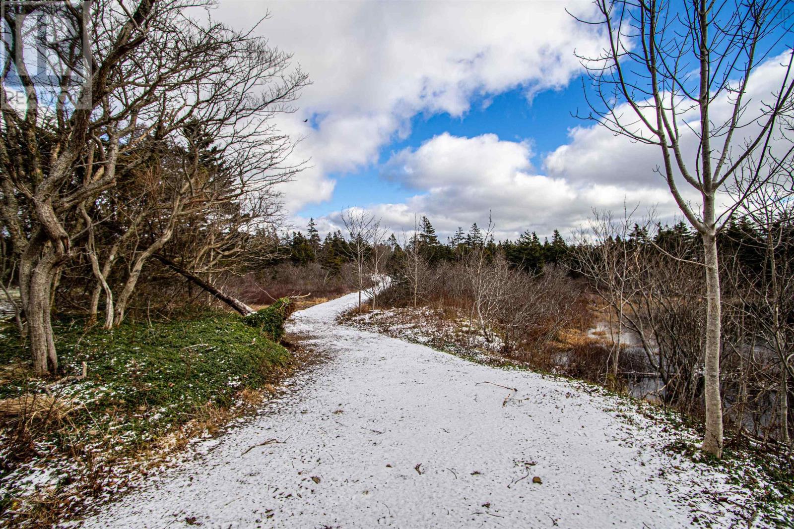 2022a Peajack Road, Westport, Nova Scotia  B0V 1H0 - Photo 19 - 202618133