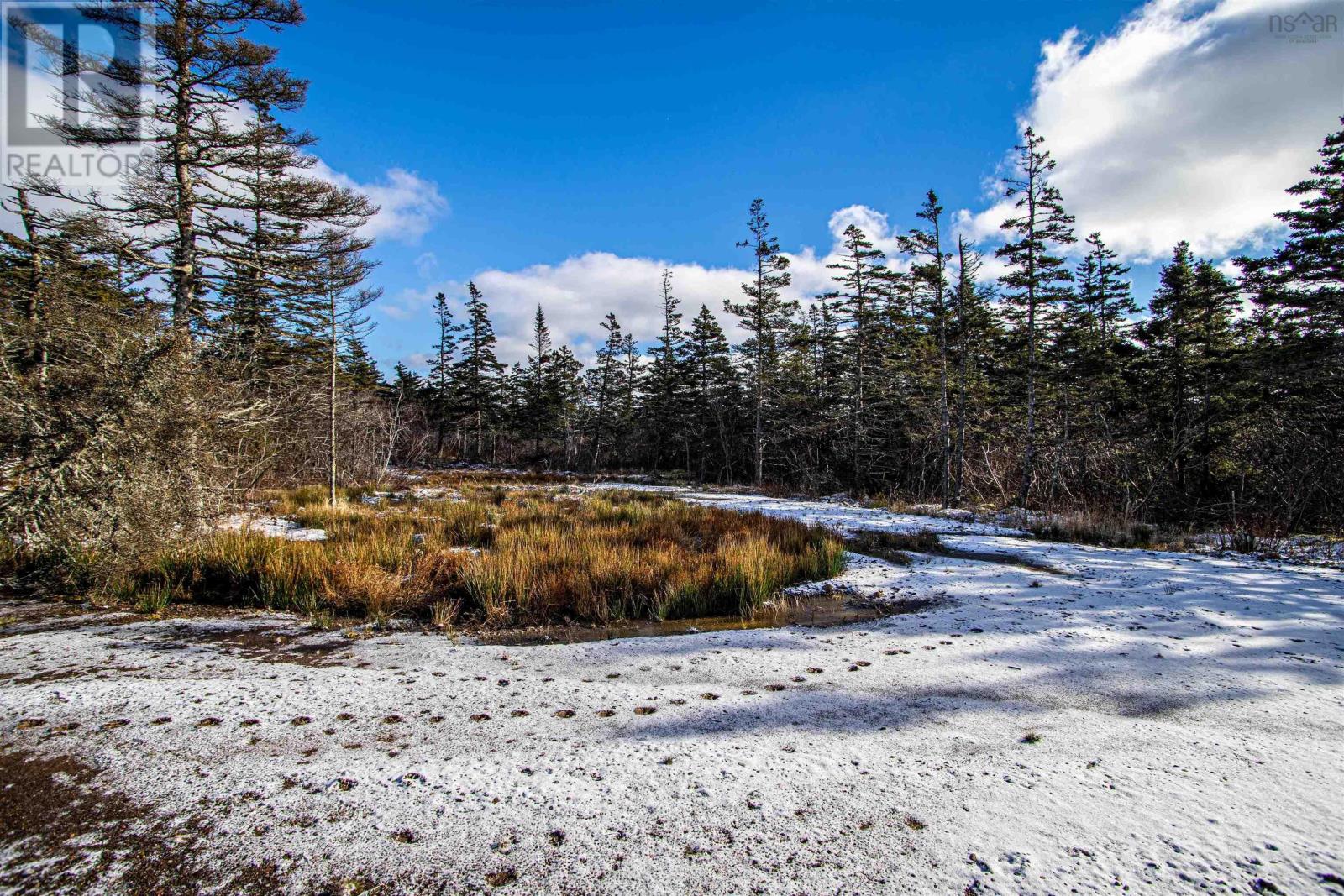 2022a Peajack Road, Westport, Nova Scotia  B0V 1H0 - Photo 26 - 202618133
