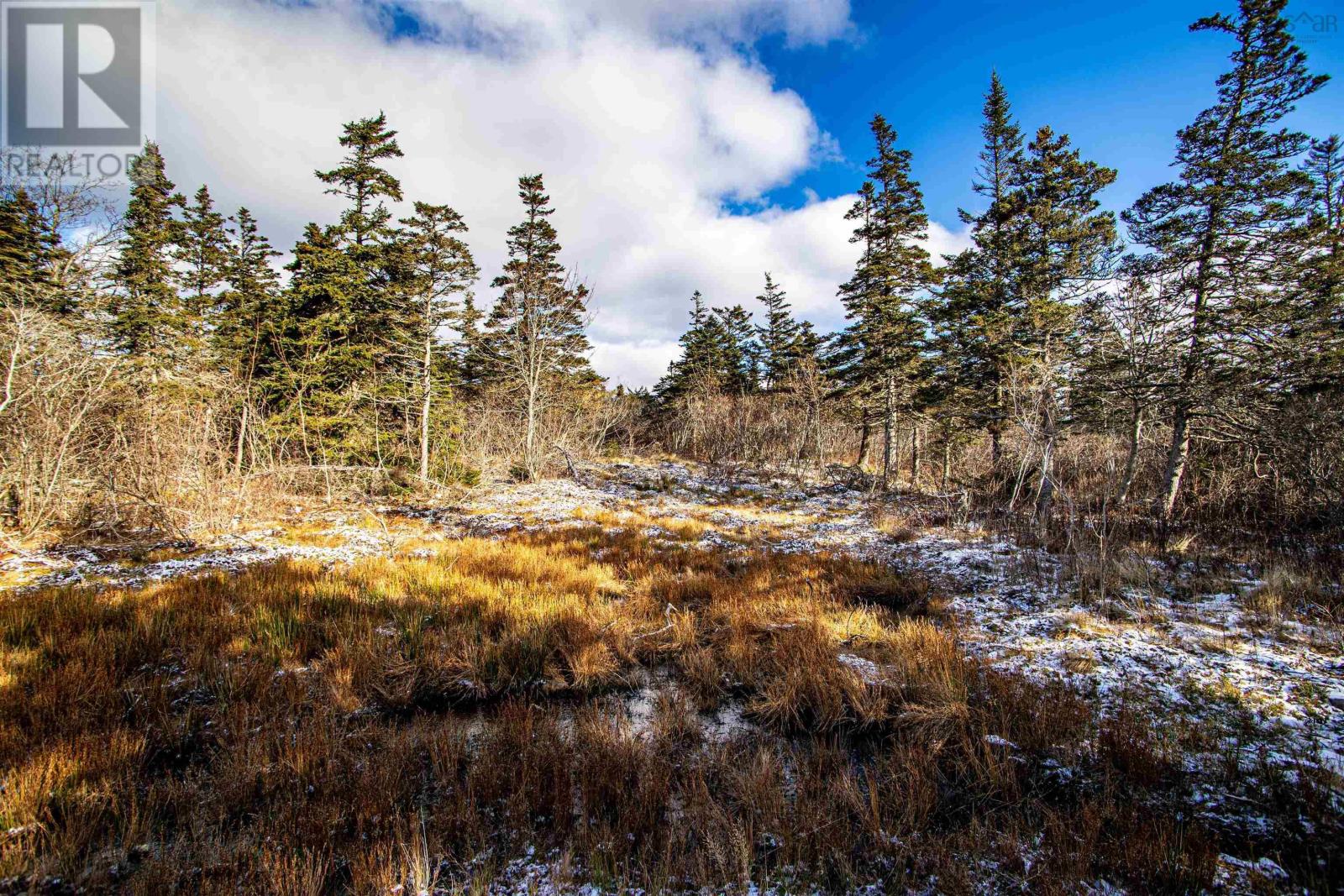 2022a Peajack Road, Westport, Nova Scotia  B0V 1H0 - Photo 27 - 202618133
