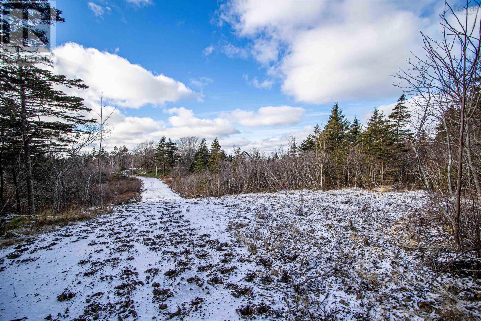 2022a Peajack Road, Westport, Nova Scotia  B0V 1H0 - Photo 29 - 202618133