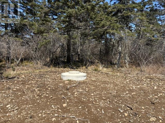 2022a Peajack Road, Westport, Nova Scotia  B0V 1H0 - Photo 8 - 202618133