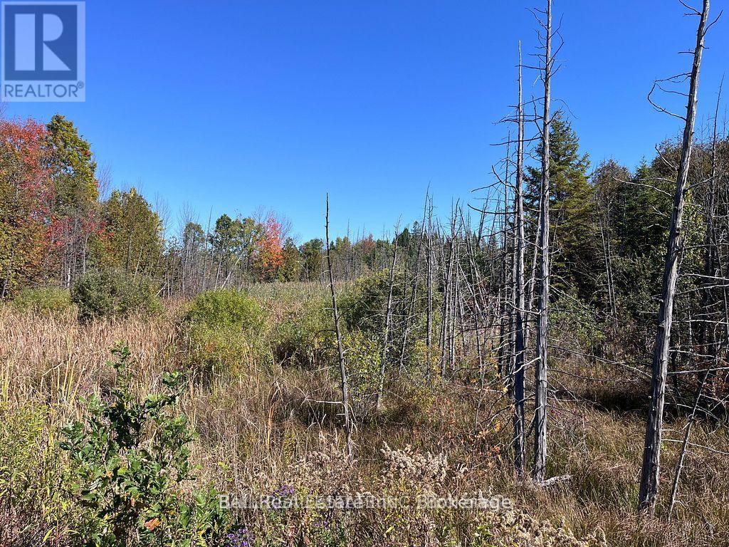 00 Koa Road, Marmora And Lake, Ontario  K0K 2M0 - Photo 2 - X13587258