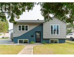 17 Sycamore Street, Chelmsford, Ontario